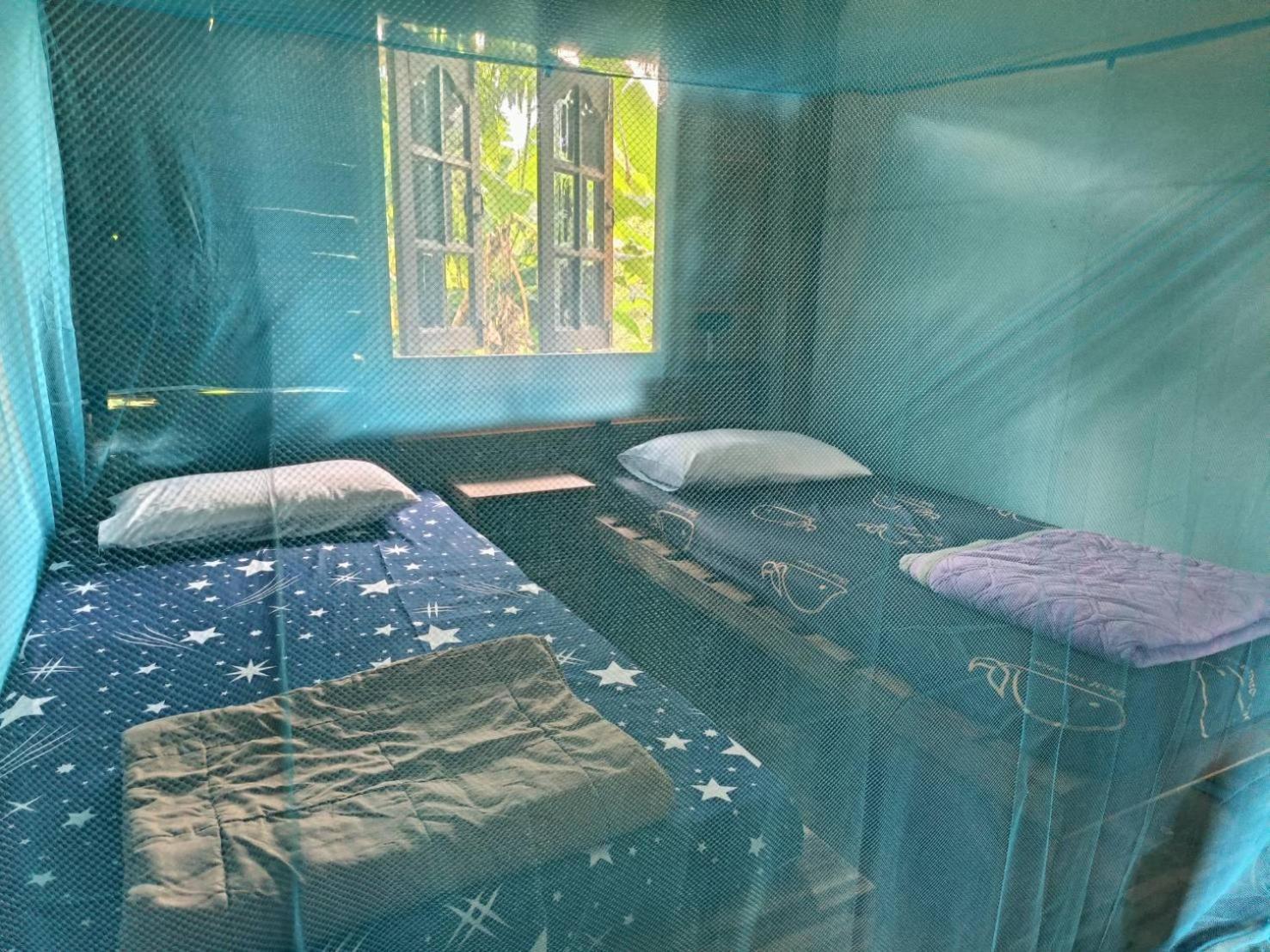 Khaosok Farmstay Khao Sok National Park Екстериор снимка